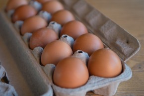 Eggs